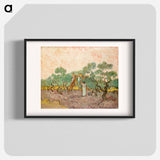 Women Picking Olives - Vincent van Gogh Poster.