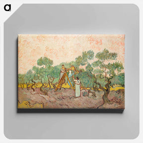 アートパネル-Women Picking Olives - フィンセント ファン ゴッホ Canvas.