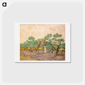 アートポストカード-Women Picking Olives - フィンセント ファン ゴッホ Postcard.