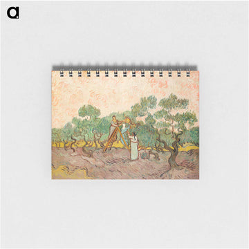 Women Picking Olives - フィンセント ファン ゴッホ Memo.
