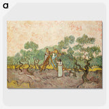 3-17_Vincent-van-Gogh_picture-crop