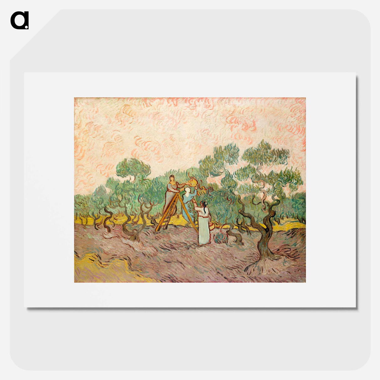 Women Picking Olives - Vincent van Gogh Poster.