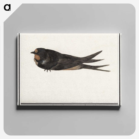 3-18_Anselmus-Boetius-de-Boodt_canvas