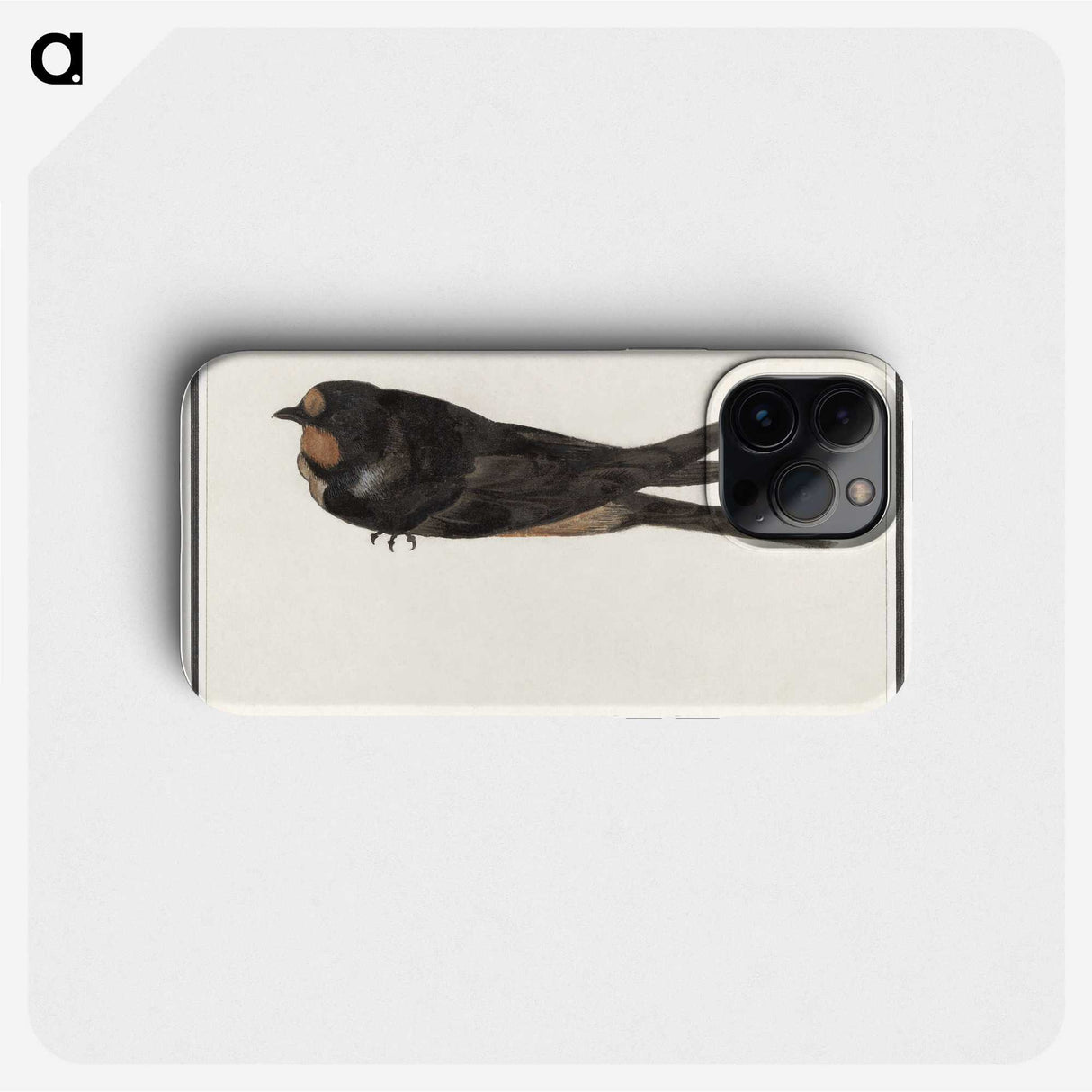 3-18_Anselmus-Boetius-de-Boodt_phone