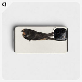 3-18_Anselmus-Boetius-de-Boodt_phone