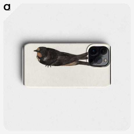 3-18_Anselmus-Boetius-de-Boodt_phone