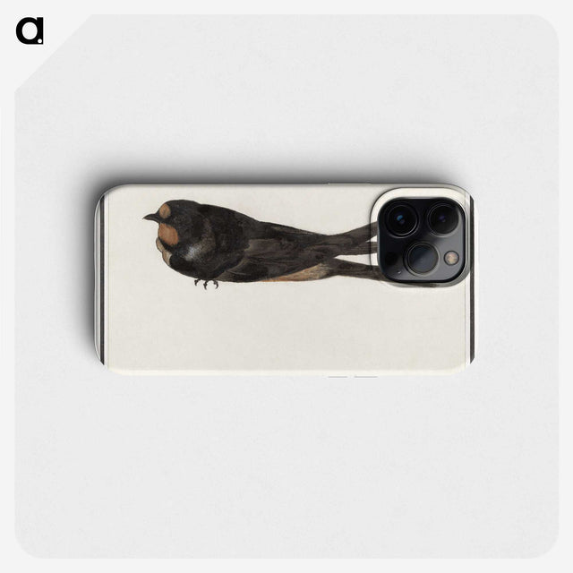 3-18_Anselmus-Boetius-de-Boodt_phone