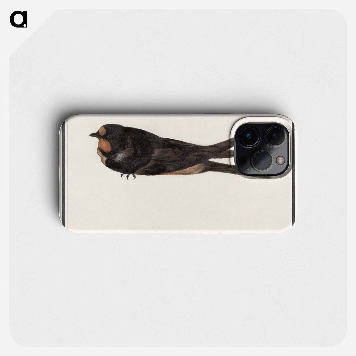 Barn Swallow - アンセルムス ボエティウス デ ブート Phone Case.