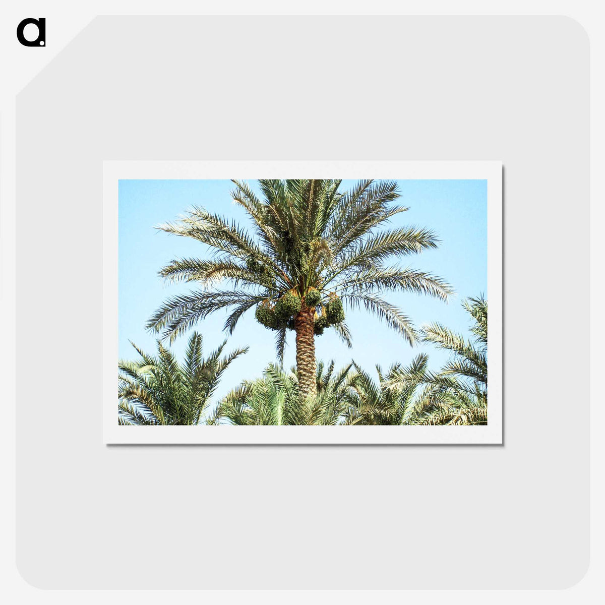 3-18_COVID-19_hagaki