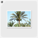 3-18_COVID-19_hagaki