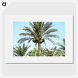 3-18_COVID-19_picture