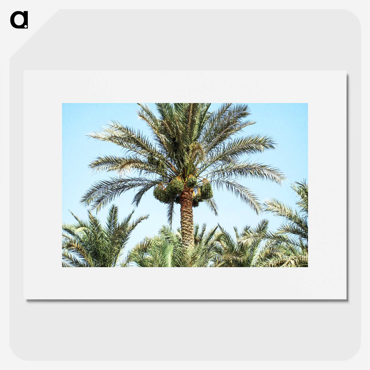 3-18_COVID-19_picture