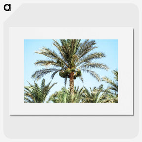3-18_COVID-19_picture
