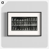 3-18_Eadweard-Muybridge_blk