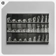3-18_Eadweard-Muybridge_canvas