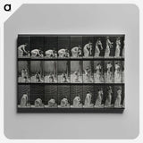 3-18_Eadweard-Muybridge_canvas