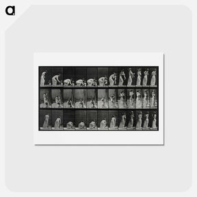 アートポストカード-Woman Lifting Child
 - エドワード マイブリッジ Postcard.