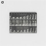 3-18_Eadweard-Muybridge_memo