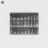 アートメモ帳-Woman Lifting Child
 - エドワード マイブリッジ Memo.