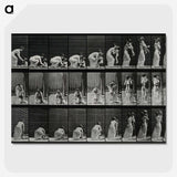 3-18_Eadweard-Muybridge_picture-crop