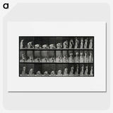 3-18_Eadweard-Muybridge_picture