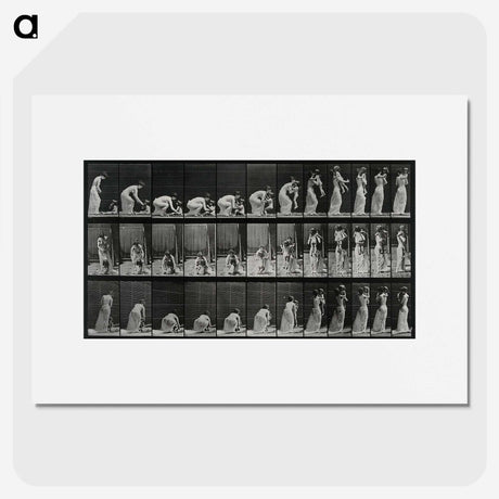 3-18_Eadweard-Muybridge_picture