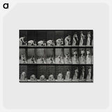 アートポストカード-Woman Lifting Child
 - エドワード マイブリッジ Postcard.