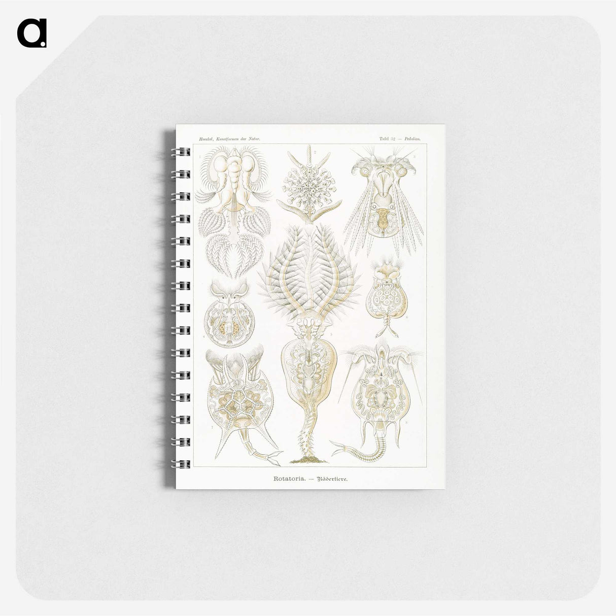 3-18_Ernst-Haeckel_memo