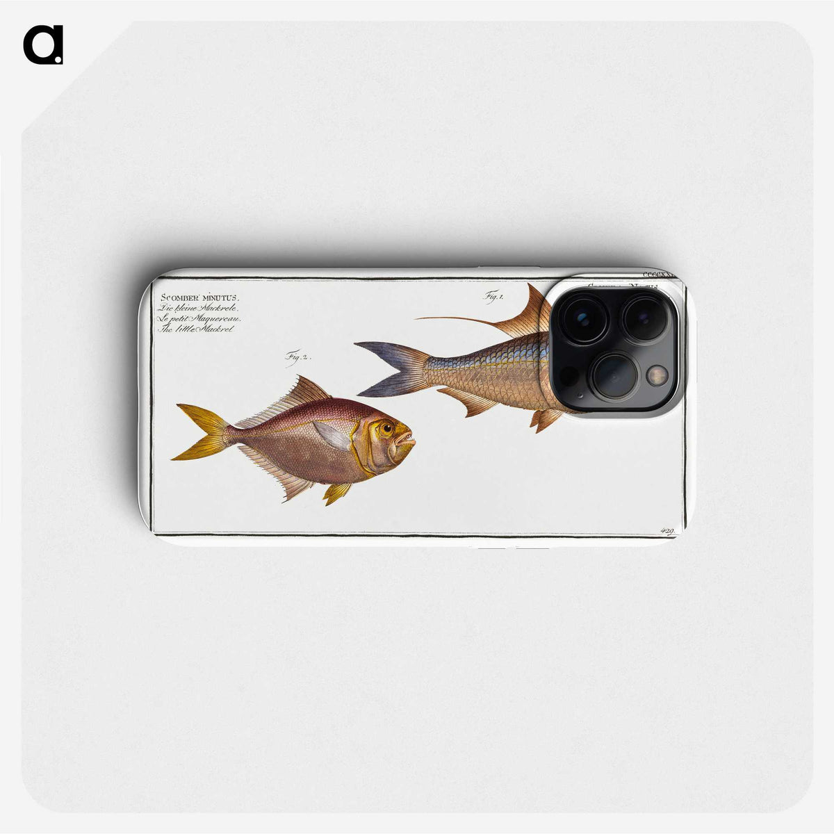 3-18_Ichtyologie-ou-Histoire-naturelle_phone