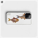 3-18_Ichtyologie-ou-Histoire-naturelle_phone