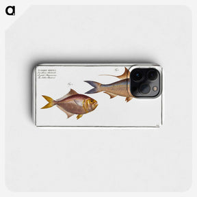 3-18_Ichtyologie-ou-Histoire-naturelle_phone