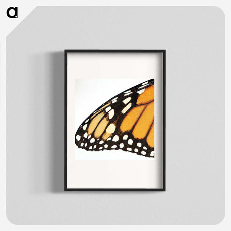 3-18_Insects-Unlocked-Project_blk