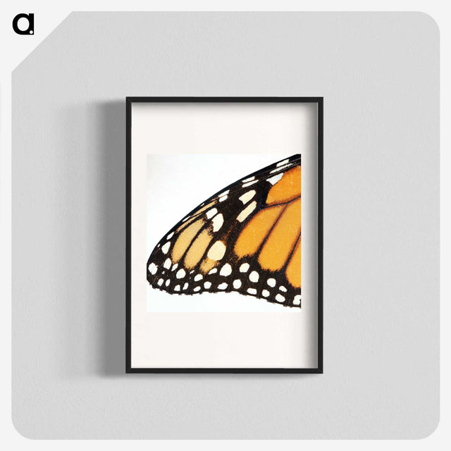 3-18_Insects-Unlocked-Project_blk