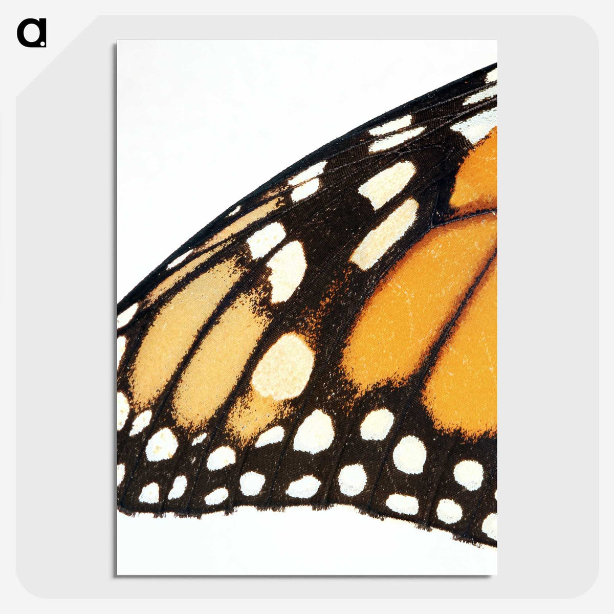 3-18_Insects-Unlocked-Project_picture-crop