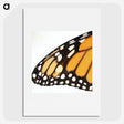 3-18_Insects-Unlocked-Project_picture