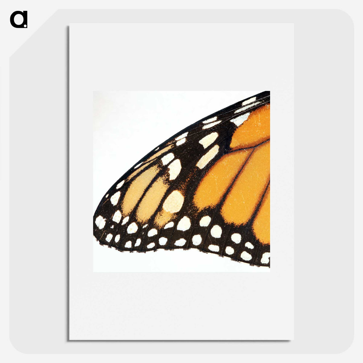 3-18_Insects-Unlocked-Project_picture