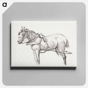 アートパネル-Standing harnessed horse - ジャン ベルナール Canvas.