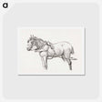 アートポストカード-Standing harnessed horse - ジャン ベルナール Postcard.