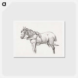 アートポストカード-Standing harnessed horse - ジャン ベルナール Postcard.