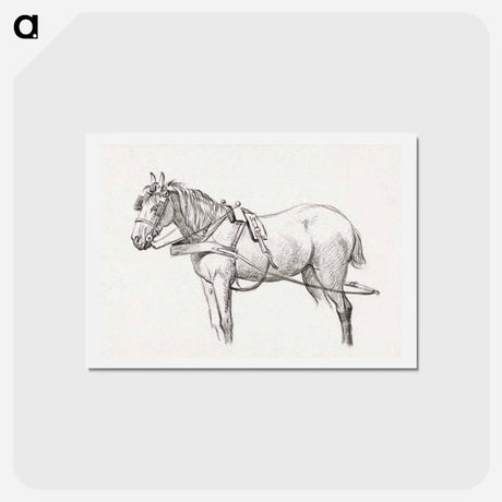 アートポストカード-Standing harnessed horse - ジャン ベルナール Postcard.