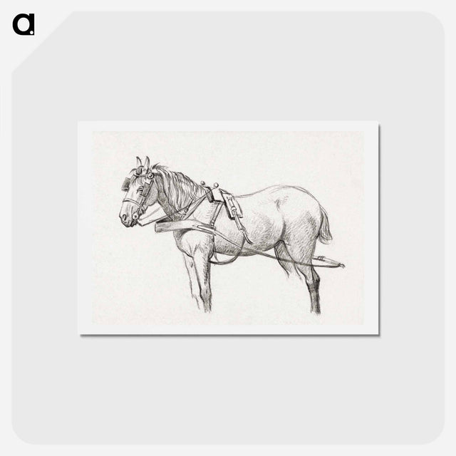 アートポストカード-Standing harnessed horse - ジャン ベルナール Postcard.