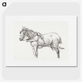 3-18_Jean-Bernard_picture