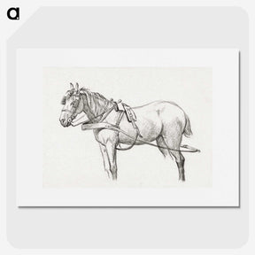 3-18_Jean-Bernard_picture