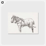 アートポストカード-Standing harnessed horse - ジャン ベルナール Postcard.