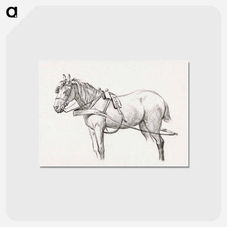 アートポストカード-Standing harnessed horse - ジャン ベルナール Postcard.