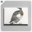 3-18_Johan-Teyler_canvas