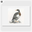 3-18_Johan-Teyler_picture