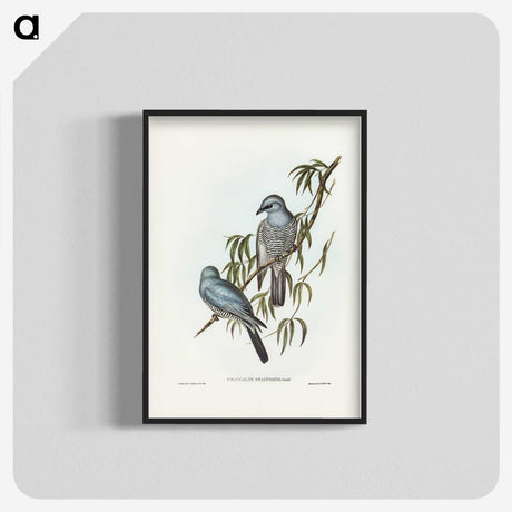 3-18_John-Gould_blk-crop