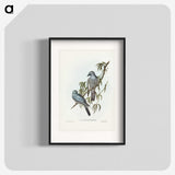 3-18_John-Gould_blk