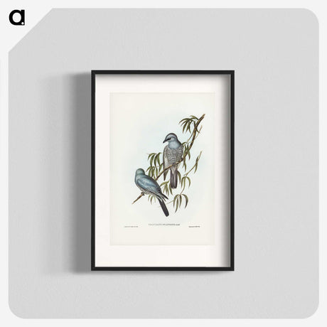3-18_John-Gould_blk